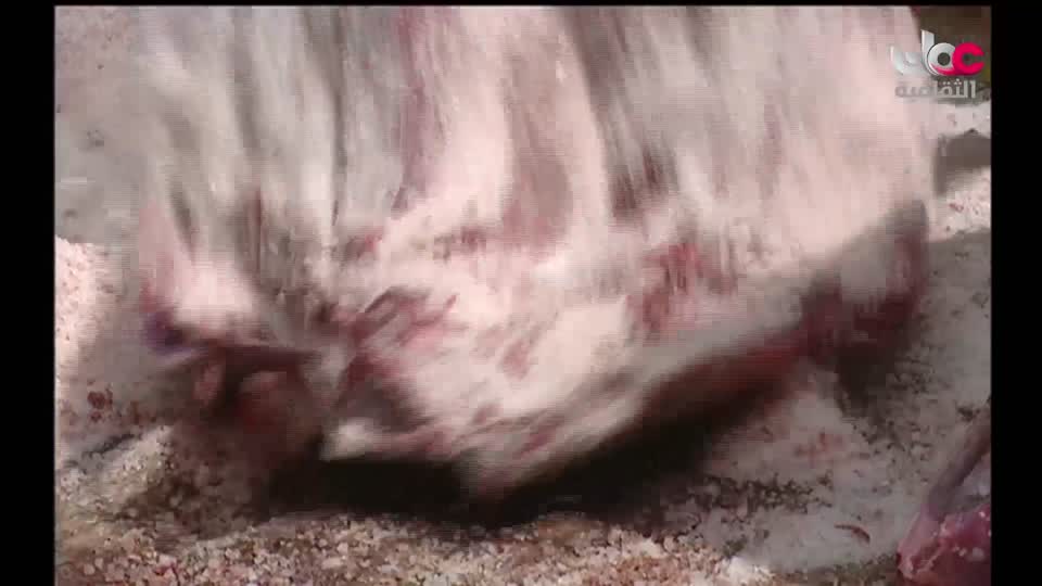 برنامج المترنم - الموسم الاول - الحلقة 3