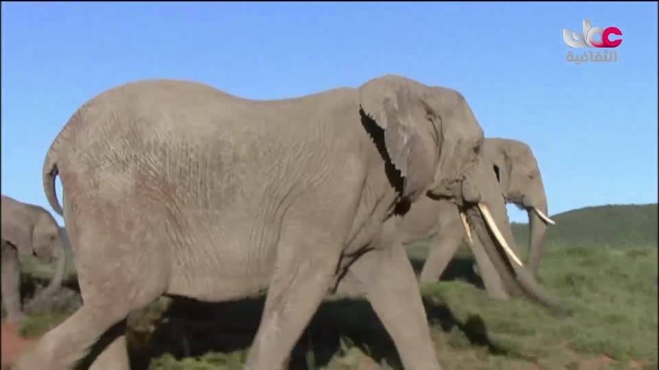 سبحانك ربي - الحلقة 2