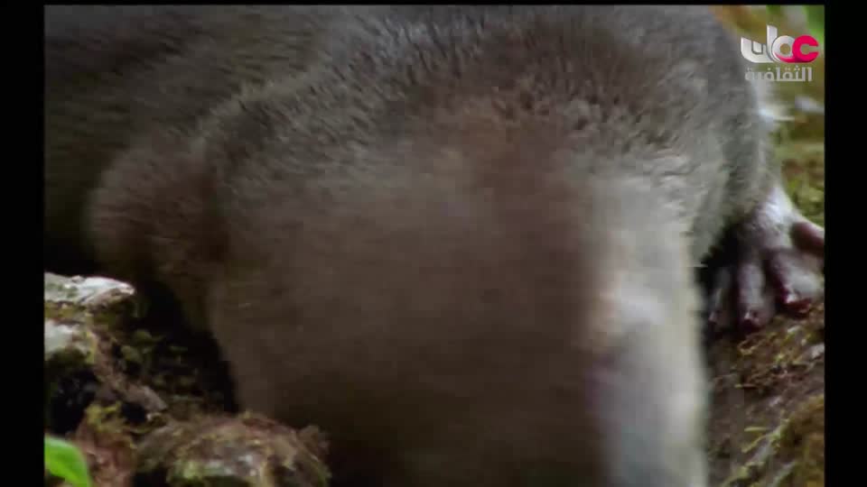 بحيرات وجبال - الحلقة 1