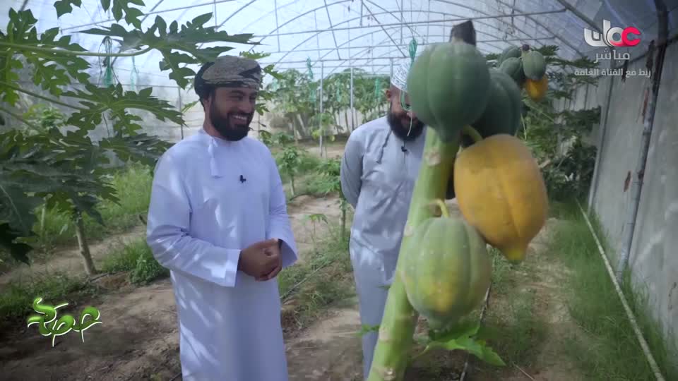 المسلسل المصري - فهد البطل - الحلقة 2