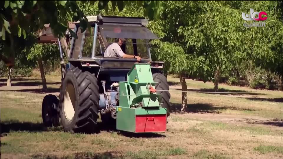 برنامج/اغاني مفرغة-موشحات - مركز عمانللموسيقى التق
