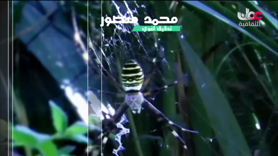 برنامج _ الحارات العمانية - الحلقة 2