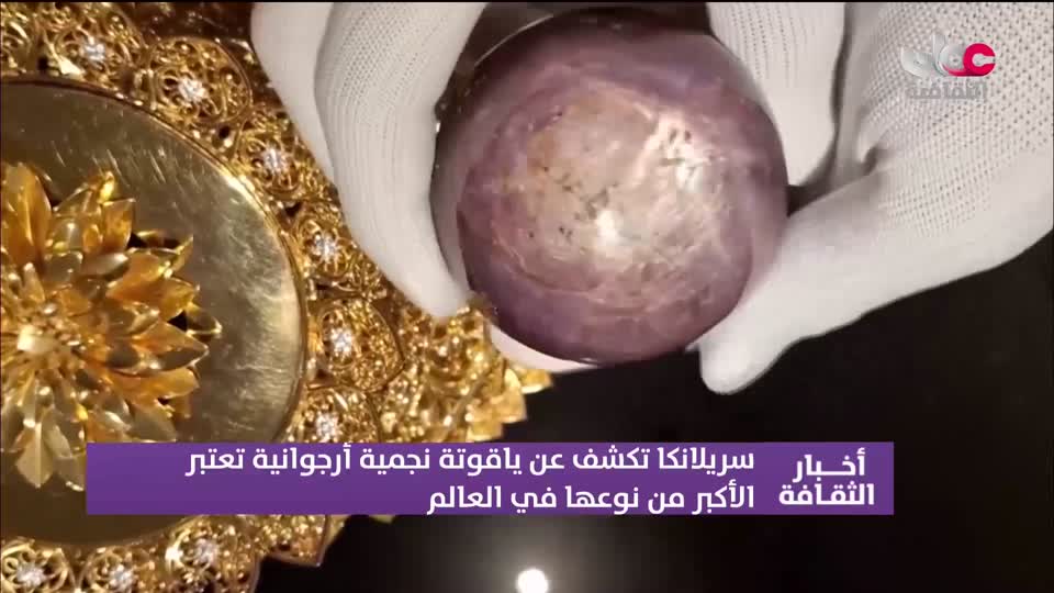 أخبار الثقافة