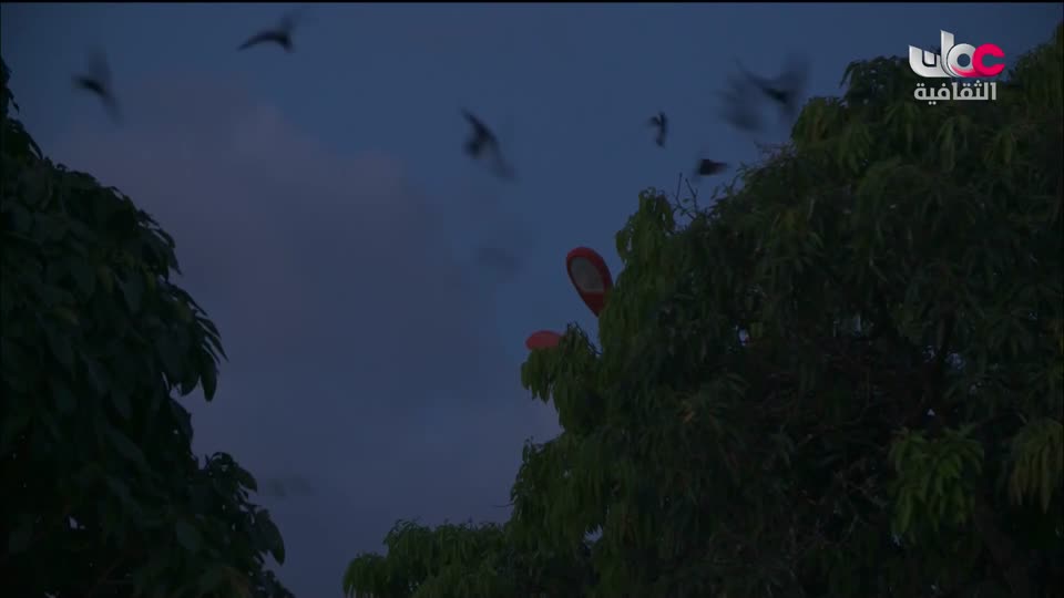 البرنامج الثقافي الدلتا في العالم - الحلقة 1