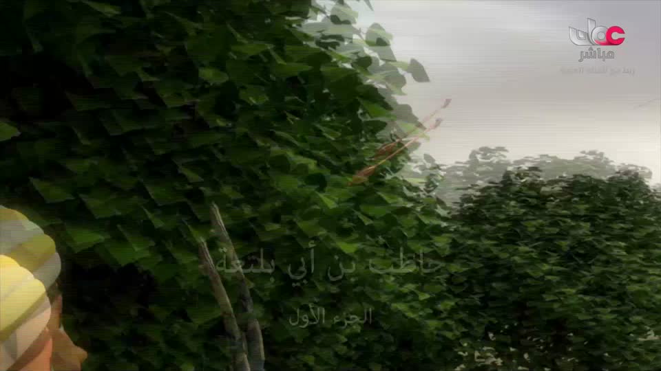 برنامج - نحو عالم اكثر اخضرارا - الحلقة 2