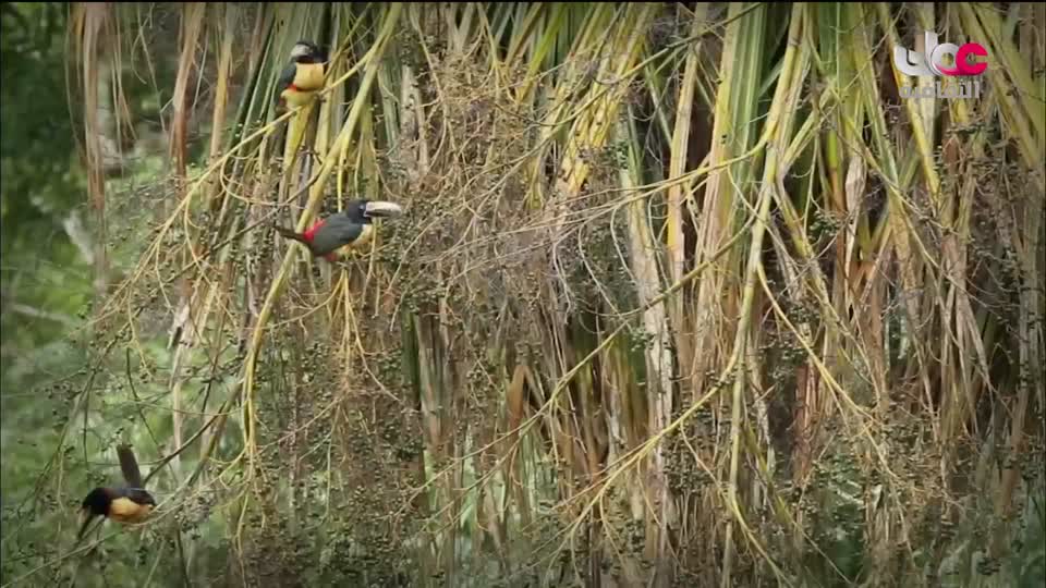 برنامج - اماكن خلابة - الحلقة 3