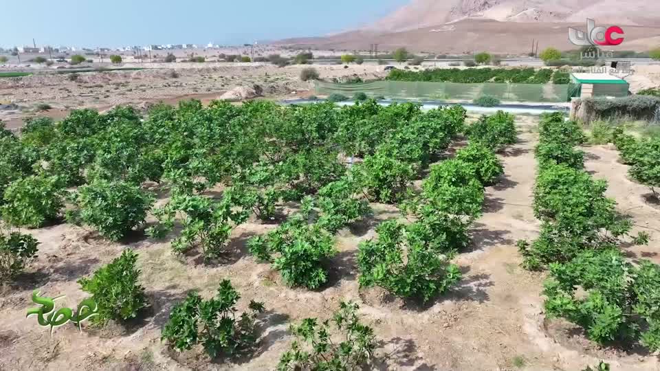 البرنامج العلمي - حصاد - الحلقة 3