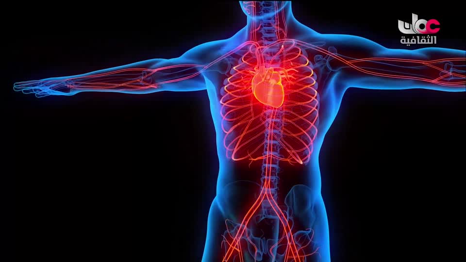 البرنامج الثقافي - زيوت عطرية - الحلقة 3