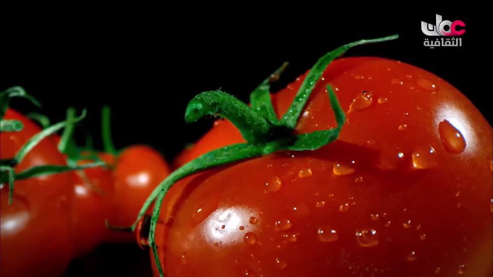 برنامج - فيتامينات - الحلقة 3