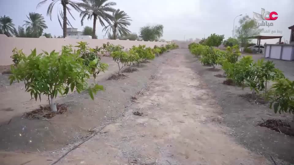 البرنامج العلمي - حصاد - الحلقة 4