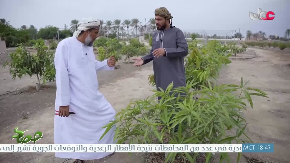 البرنامج العلمي - حصاد - الحلقة 4