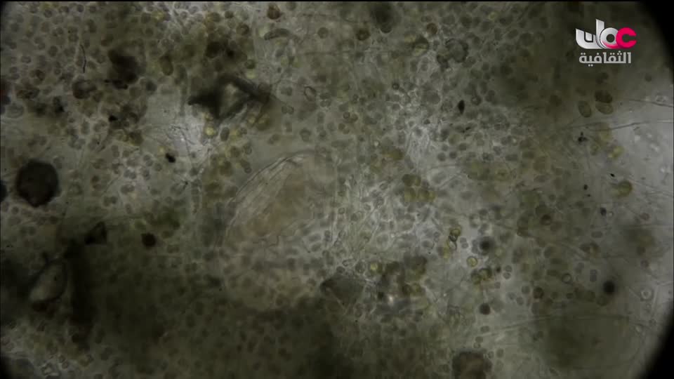 البرنامج الثقافي أرض ونار - تطور فن الطبخ - الحلقة 4