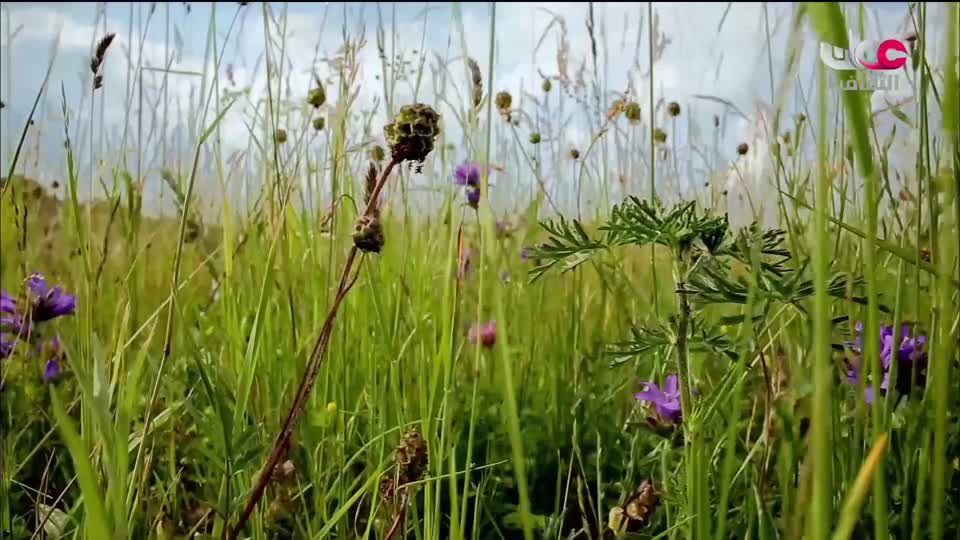 البرنامج الثقافي - المناخ والطبيعة - الحلقة 4