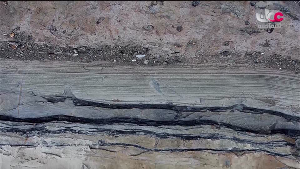 برنامج الثقافي - أسرار الحياة والكون - الحلقة 5