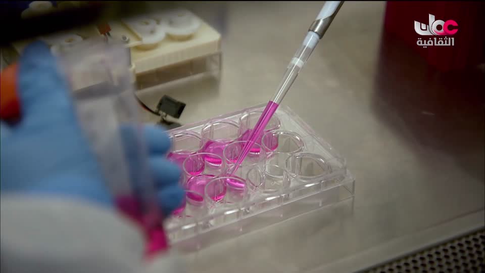 البرنامج الثقافي - البحث عن المعرفة ج4