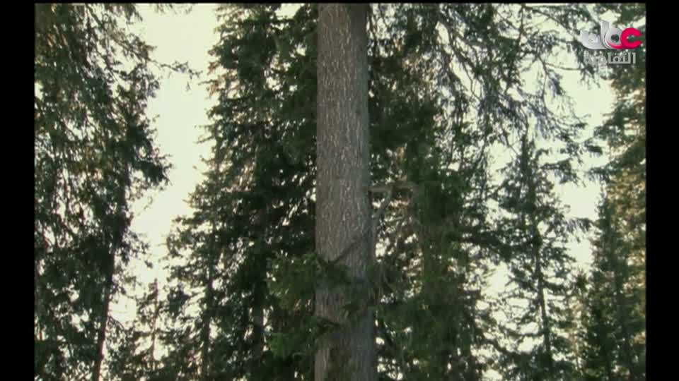 بحيرات وجبال - الحلقة 5