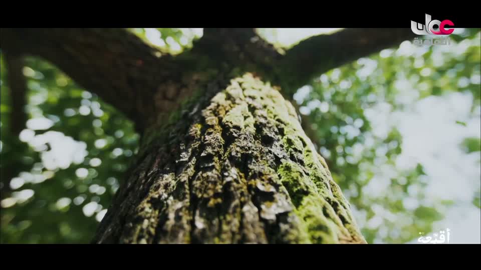 برنامج - غذاء وشعوب - الحلقة 5