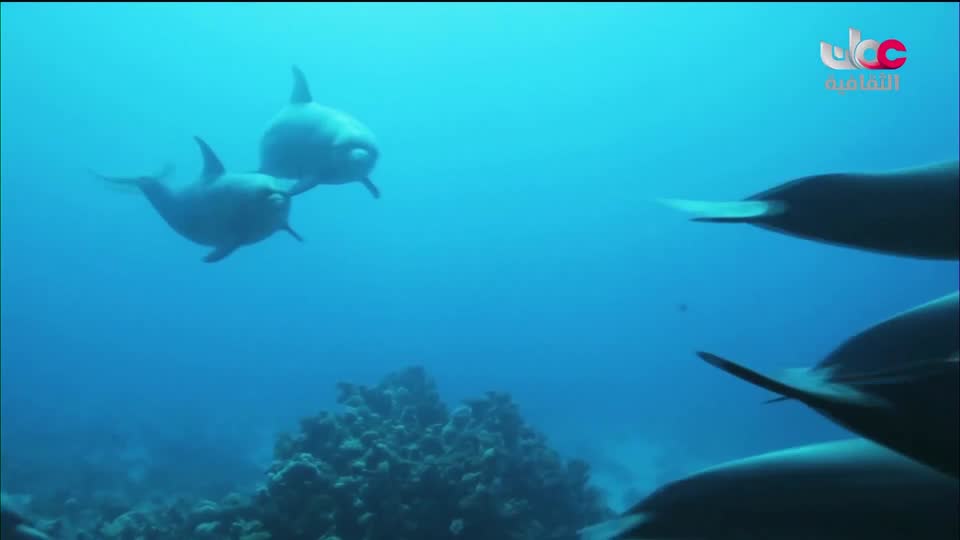 سبحانك ربي - الحلقة 7