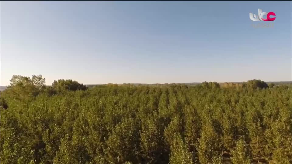 برنامج/اغاني مفرغة-موشحات - مركز عمانللموسيقى التق