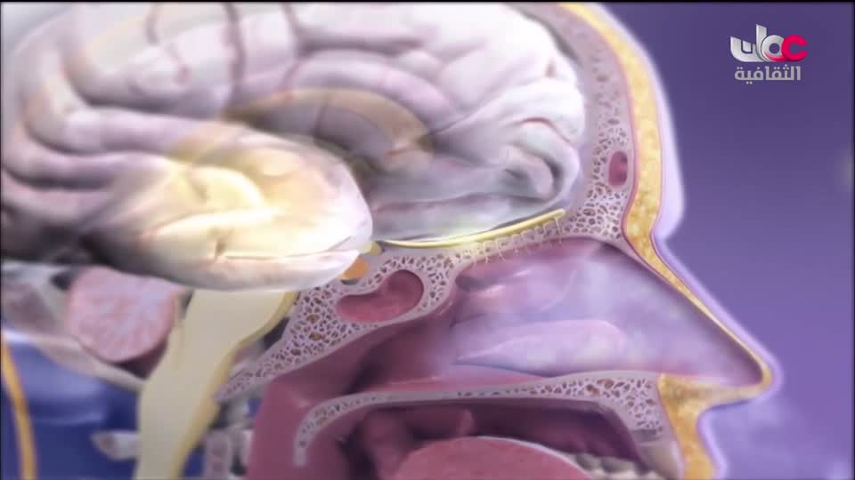 برنامج - أقنعة وكنوز - الحلقة 1