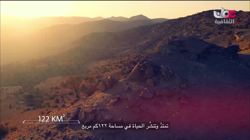 البرنامج الثقافي - العالم لك - الحلقة 6