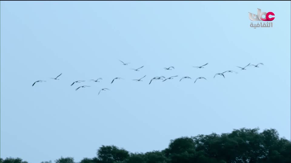 البرنامج الثقافي - غرائب الصحاري - الحلقة 5