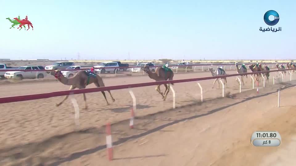 السباق السنوي للإتحاد العماني للهجن - الفليج 2026 - الحلقة 10