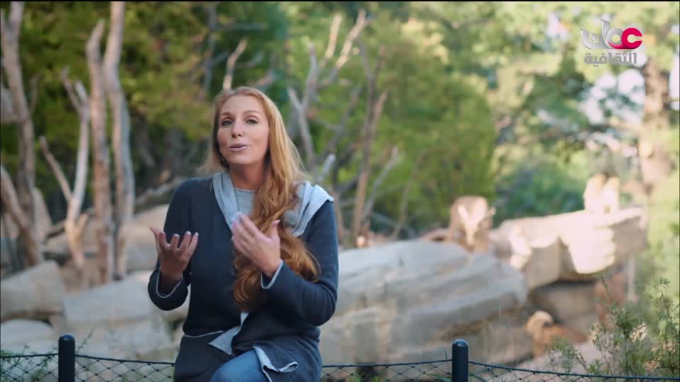 برنامج الثقافي - أسرار الحياة والكون - الحلقة 6