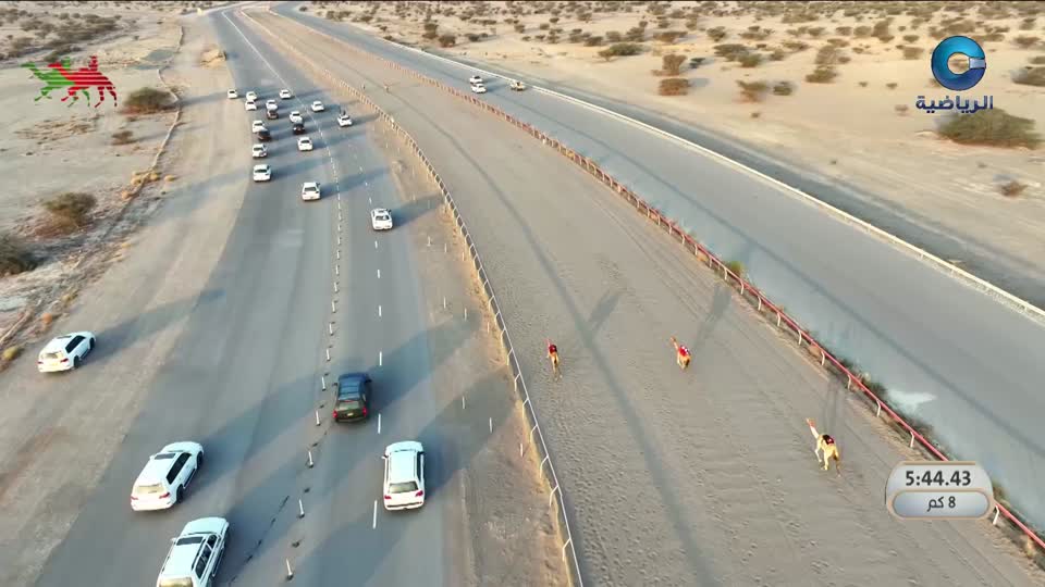 السباق السنوي للإتحاد العماني للهجن - الفليج 2026 - الحلقة 9