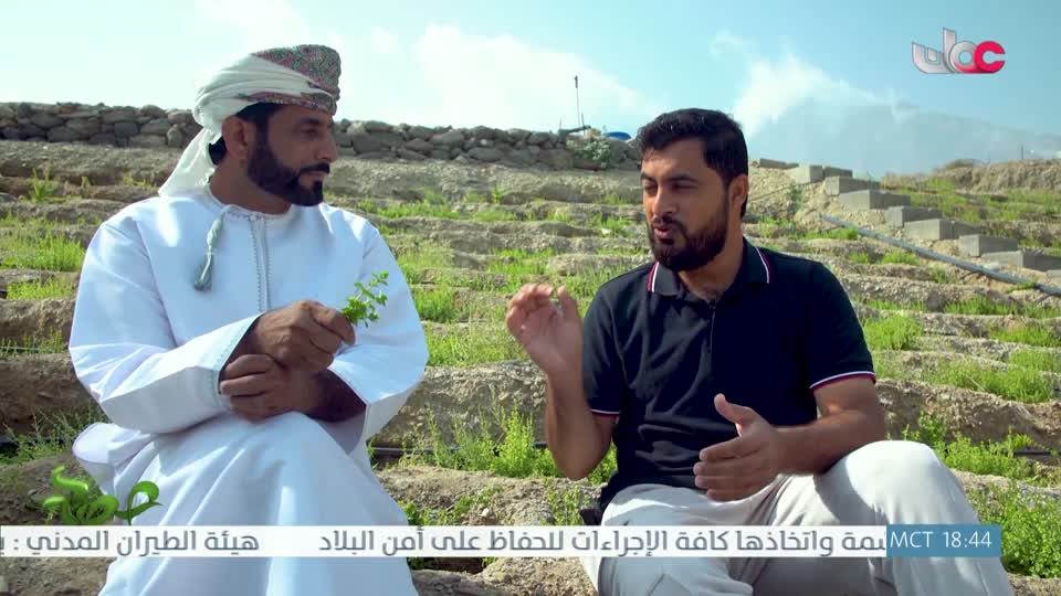 البرنامج العلمي - حصاد - الحلقة 6