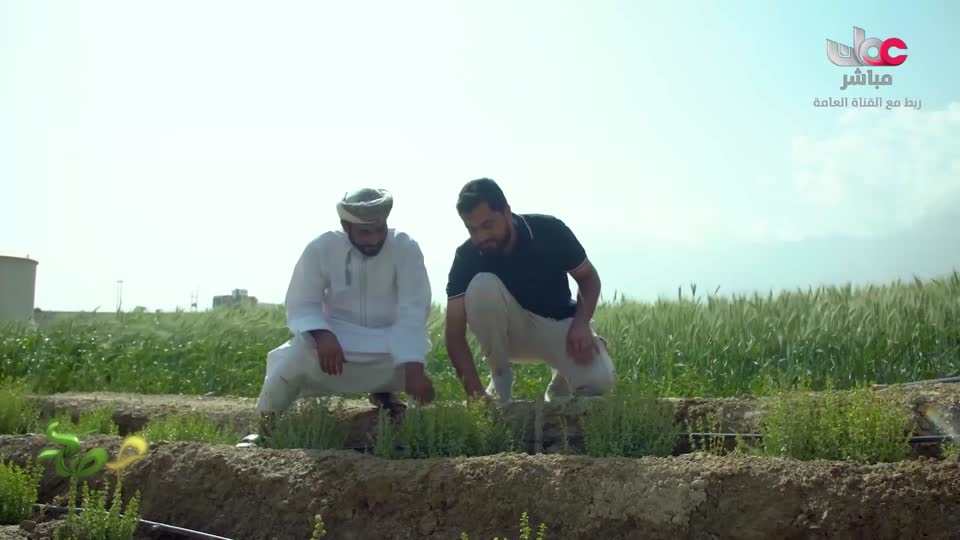 البرنامج العلمي - حصاد - الحلقة 6