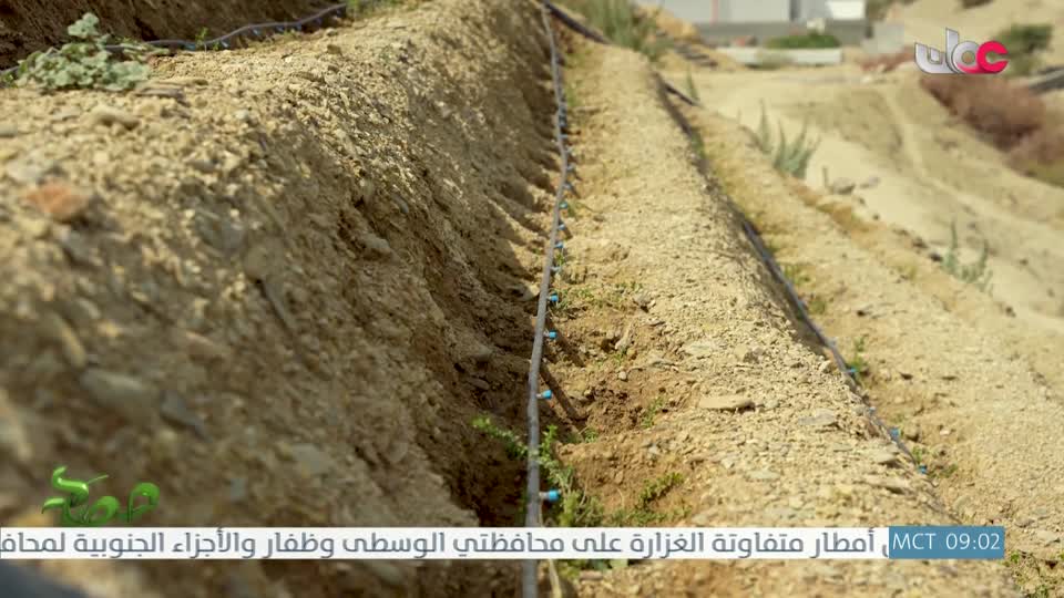 البرنامج العلمي - حصاد - الحلقة 6