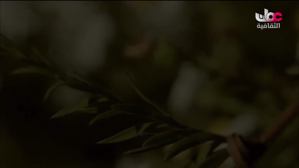 برنامج - خالدون في الذاكرة ج2