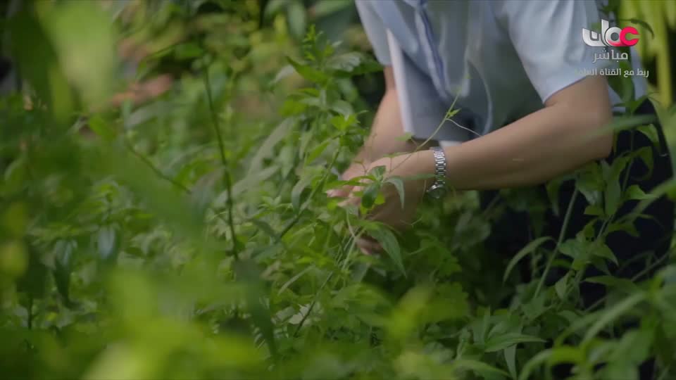 المسلسل الخليجي - خط أحمر - الحلقة 5