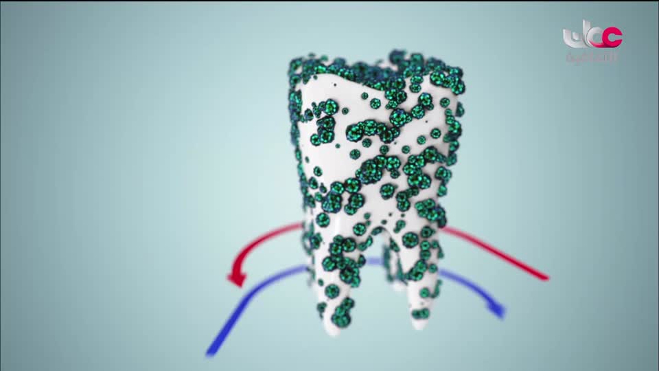 برنامج - كنوز الصحراء - الحلقة 7