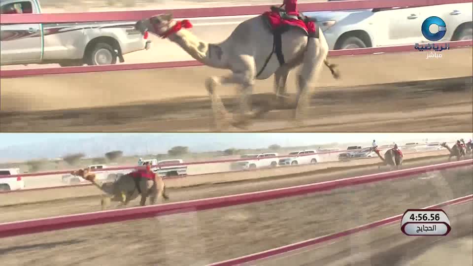 تايلند × ناميبيا - كأس العالم لخماسيات الهوكي - مسقط 2024