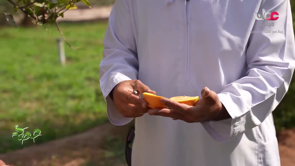 البرنامج العلمي - حصاد - الحلقة 7