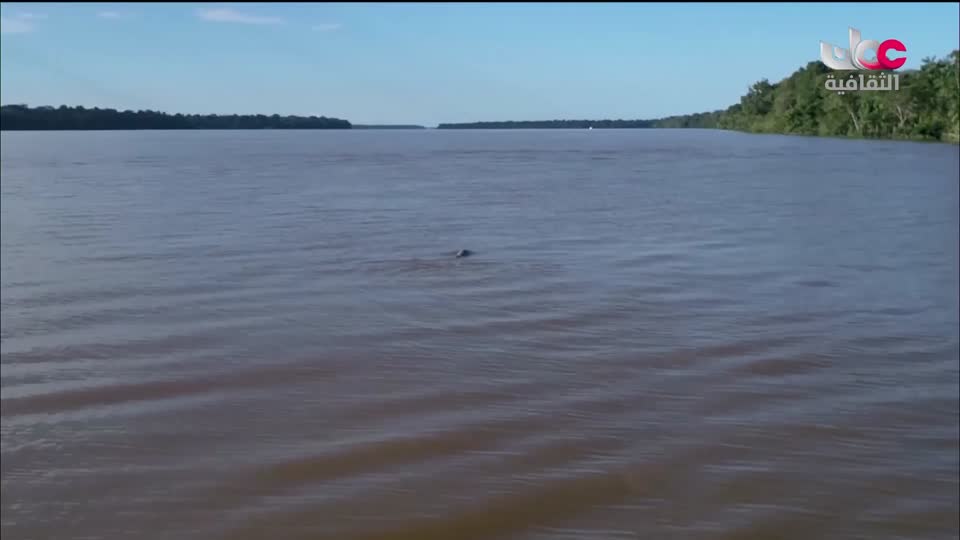 البرنامج الثقافي الدلتا في العالم - الحلقة 1