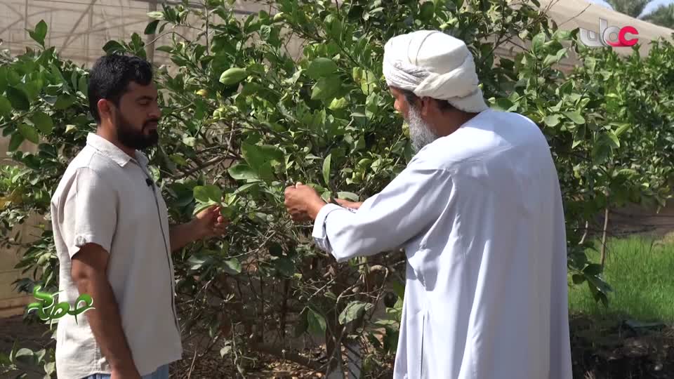 البرنامج العلمي - حصاد - الحلقة 7