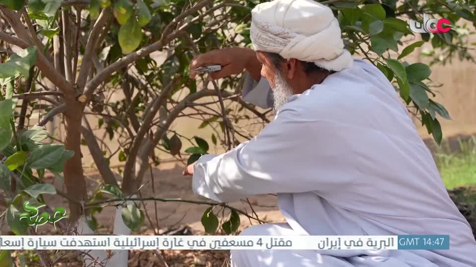 البرنامج العلمي - حصاد - الحلقة 7