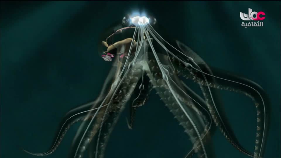 البرنامج الثقافي - البحث عن المعرفة ج4