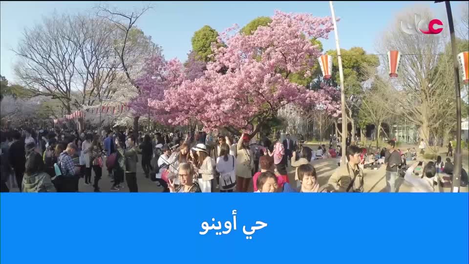 البرنامج الثقافي - العالم لك - الحلقة 8