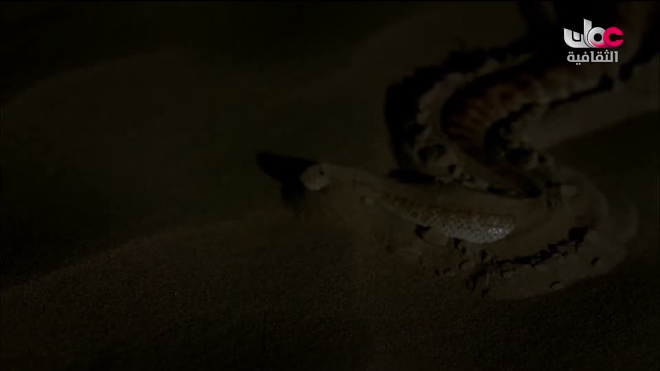 البرنامج الثقافي - غرائب الصحاري - الحلقة 2