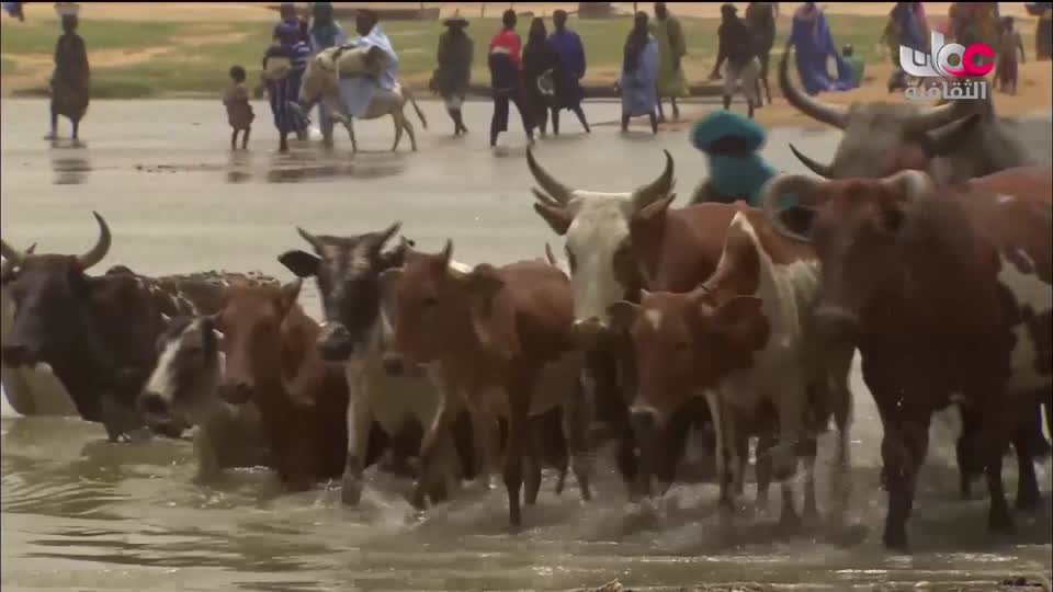 برنامج _ رحلة المخطوط العربي _ج2 - الحلقة 8