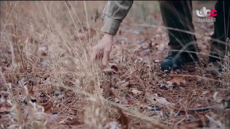 برنامج/اغاني مفرغة-موشحات - مركز عمانللموسيقى التق