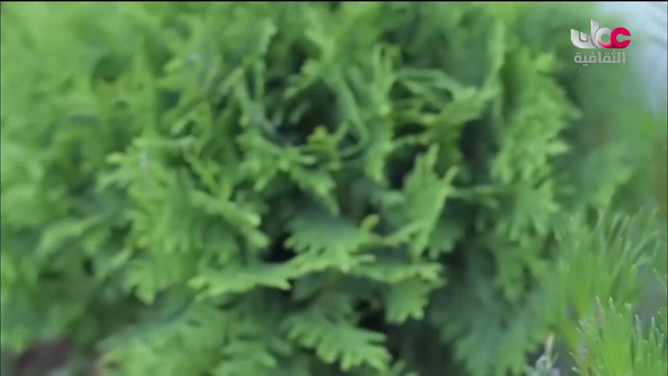 البرنامج الوثائقي - عالم الأفلام - الحلقة 8