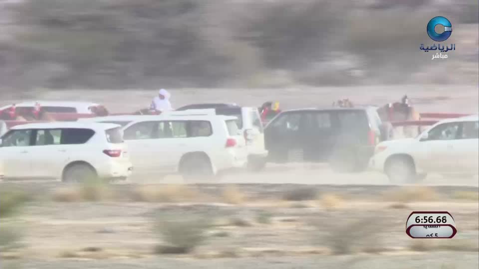 مباشر السباق الختامي للهجن