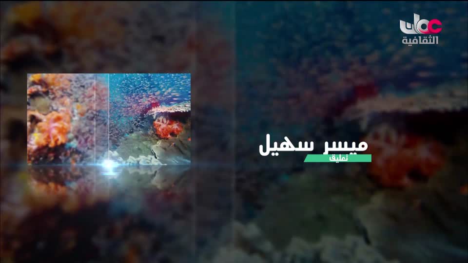 برنامج _ الحارات العمانية - الحلقة 8