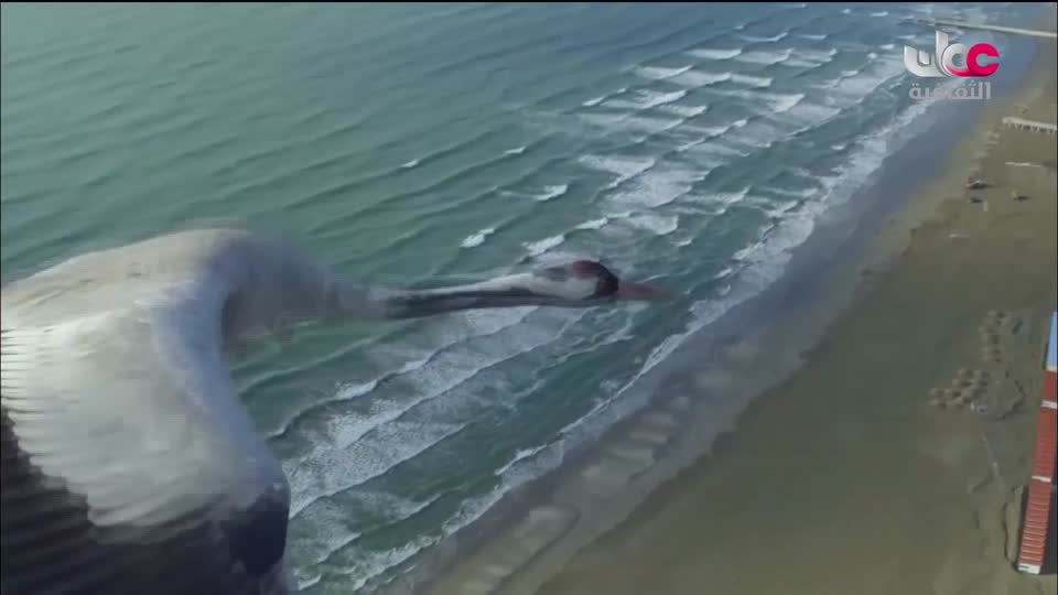 سبحانك ربي - الحلقة 10