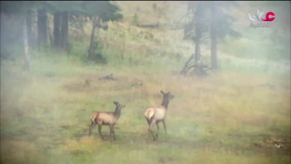 البرنامج الثقافي - الحواس الخارقة - الحلقة 2